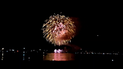 Fireworks light up the night over Rapperswil-Jona's waterfront