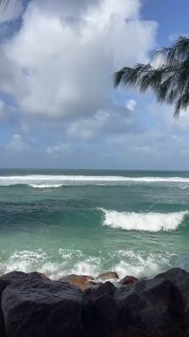 The video shows a view of the ocean from a rocky shore. Waves are crashing on the rocks. The water is a deep blue-green color. The sky is blue with some white clouds. A tree branch is visible in the upper right corner of the frame. There are no people or animals in the video. The overall mood of the video is peaceful and serene.