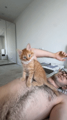 Orange kitten plays with couple on checkered bed in Moscow