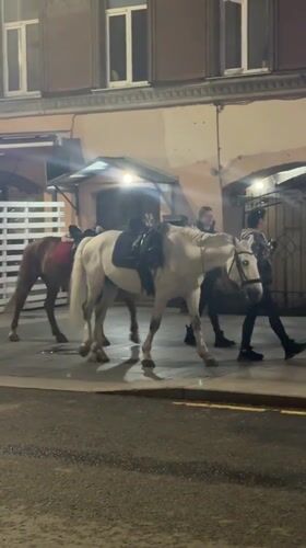 Saddled horses walked through Saint Petersburg streets after dark