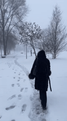 Museum visit and snowy park walk documented in Belgrade