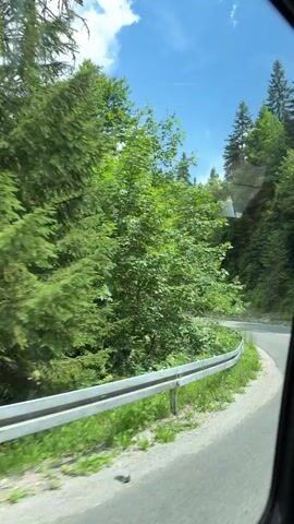The video captures a point-of-view shot from inside a vehicle moving along a winding road through a lush, green forest. The camera is positioned near a window, offering a view of the passing scenery. On the left side of the road, dense green foliage, likely trees and bushes, lines the immediate roadside and slopes upwards. A white metal guardrail runs parallel to the road, separating it from the vegetation. The road itself is paved and curves gently to the right. In the distance, taller evergreen trees are visible, interspersed with deciduous trees. The sky above is bright blue with scattered white clouds. A yellow smiley face sticker with its tongue sticking out is visible on the interior of the vehicle's window frame. The lighting suggests it is daytime with sunny conditions. The movement of the vehicle is evident from the slight blur of the trees and the perspective shift.