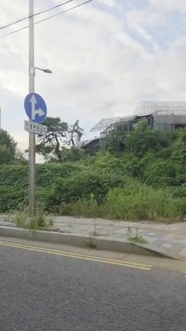 The video shows a street view from a moving vehicle. On the right side of the road, there are two utility poles. The first pole has yellow and black diagonal stripes near its base and a blue traffic sign showing a left turn and a straight arrow. The second pole has a streetlight and a yellow sign with Korean text. Behind the poles, there is dense green vegetation and trees, with a tall apartment building visible in the background. The road has a double yellow line on the left. The sky is cloudy.