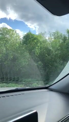 The video captures a view from inside a moving vehicle, looking out through the front windshield at a natural landscape. The windshield appears to be somewhat dusty or streaky, with sun reflections visible, particularly in the center and lower right of the frame.

The dominant subjects are a lush, green environment composed of numerous trees and bushes. Both coniferous trees, characterized by their pointed tops, and various deciduous trees with full, leafy canopies are prominent, indicating a dense, forested or heavily vegetated area. Below the treeline, there's a layer of ground vegetation, including what appear to be tall, leafy plants.

Above the trees, the sky displays a dramatic mix of weather conditions. Large, grey, and somewhat heavy clouds cover significant portions of the sky, suggesting an overcast or partly cloudy day. However, bright patches of clear blue sky with fluffy white clouds are also visible, indicating that sunlight is breaking through. The sunlight illuminates parts of the landscape and creates bright spots on the windshield.

Around the 0:03-0:04 mark, a wooden utility pole with overhead wires briefly comes into view on the left side of the frame, suggesting the presence of some infrastructure within this otherwise natural setting. The car appears to be in motion, as the scenery gently passes from left to right across the frame.

The time of day is clearly daytime, given the lighting. The weather is a combination of cloudy and sunny. The scene evokes a sense of travel through a rural or forested region, consistent with the location context of Dyatlitsy, Russia. No visible text is present in the video.