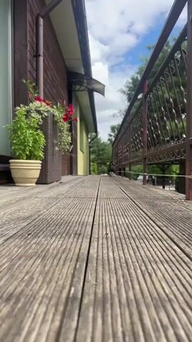 A miniature schnauzer puppy walks along a wooden deck. The puppy is black and white and has a fluffy coat. It is walking towards the camera, and its tail is wagging. In the background, there is a house with brown siding and a green awning over the door. There are also some potted plants on the deck, including a plant with red flowers. The sky is blue with some white clouds.