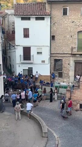 A crowd of people are gathered in a narrow street between two buildings. Most of the people are wearing blue shirts. Several people appear to be associated with horses, with some individuals leading or standing near them. The street is paved with cobblestones and there are some potted plants and decorative elements visible. There are balconies and windows on the buildings. The atmosphere appears to be festive or ceremonial, possibly a parade or a local event. Some people are standing and watching, while others are actively engaged with the horses. The light suggests it is daytime.