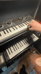 Musician plays keyboard, pets black cat in London home
