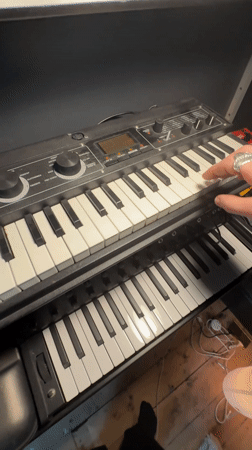 Musician plays keyboard, pets black cat in London home