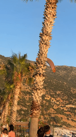 Paragliders land along Fethiye's busy waterfront promenade