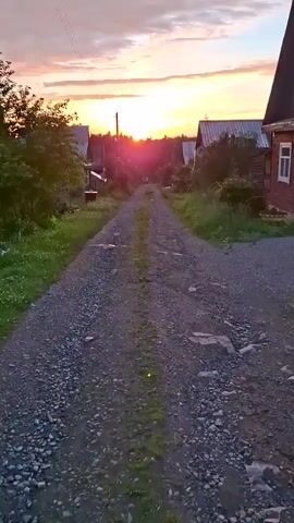 A vertical, point-of-view video displays a gravel road leading into a rural village at sunset. The sky is filled with soft orange, pink, and purple hues, with the sun appearing as a bright, glowing orb just above the horizon, casting a radiant light. The road is flanked by green grass and vegetation, with wooden houses on either side. The houses have peaked roofs and appear to be made of wood. Some trees are visible, and power lines stretch across the sky. The road itself is rough, with loose gravel and some patches of green growth breaking through. The overall scene evokes a peaceful, idyllic rural setting during the golden hour.