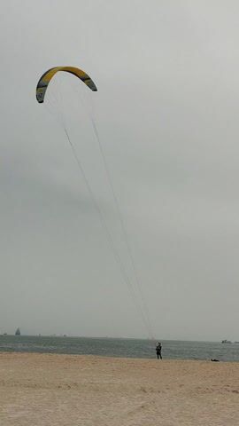 A person is standing on a sandy beach and holding the lines to a large kite, which is soaring in the air. The kite is primarily yellow with some blue and gray accents. The kite is labeled "FLYSURFER" and the number "12". The beach is tan, and the water is calm and gray. There are several small boats visible in the distance. The sky is overcast, creating a dull, grayish light.