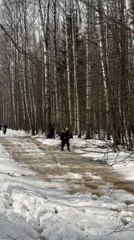 Cross-country runners navigate flooded snowy forest paths in Zelenodolsk