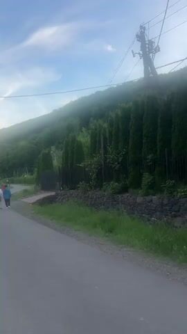 Three people are walking down a paved road away from the camera. The person closest to the camera is wearing a white shirt and a backpack. The middle person is wearing a blue shirt and jeans. The third person is wearing a red shirt. The road curves to the left. A hill covered in green trees is to the right of the road. A fence made of dark stone runs along the side of the road, interspersed with tall, thin trees. Power lines run above the road. The sky is blue with some white clouds.
