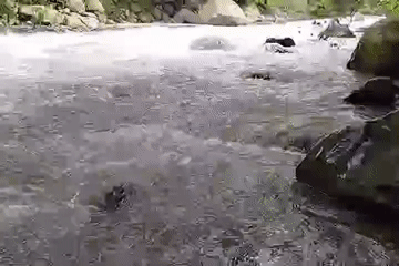 Fast-flowing rocky river in rural Salangbaru, Indonesia