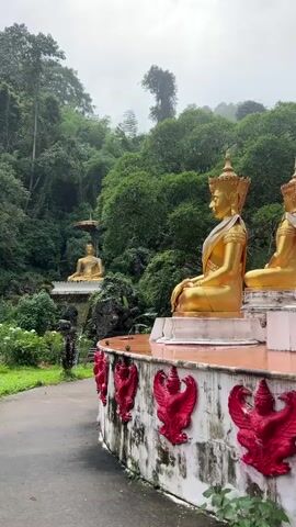 The video displays an outdoor scene featuring multiple golden Buddha statues. In the foreground, two large, golden, seated Buddha statues with ornate headdresses and sashes are positioned on a white, weathered platform or wall. This wall is decorated with several vibrant red, winged, mythological figures resembling Garudas. To the left of the platform, a paved path curves upwards into the scene. Further along this path in the middle ground, another large, golden, seated Buddha statue is visible, sheltered by a ceremonial tiered umbrella. The background consists of lush, dense green hills and trees, with an overcast sky. A sign with unreadable text is partially visible on the white platform.