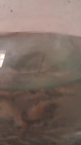 The video shows a close-up of a glass container filled with water. The water is murky and brown, with some light green coloration near the bottom. There are shadows and reflections on the surface of the water, making it difficult to discern any specific objects or details within the container. The lighting is dim, and the overall impression is of an unkempt or neglected environment. There are no visible people or animals in the video. The camera is steady, and the focus is on the water.