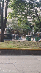 Child plays with orange kitten in Caracas neighborhood