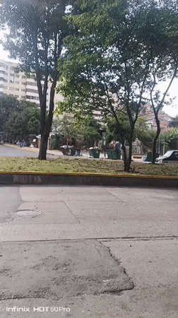 Child plays with orange kitten in Caracas neighborhood