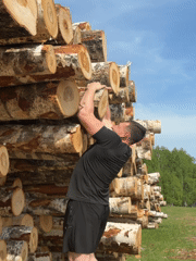 Man attempts pull-ups on log stack in Russia