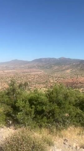 The video shows a drone's-eye view of a dry, mountainous landscape. The sky is clear and blue. The terrain is arid, with sparse vegetation consisting of low-lying shrubs and some scattered trees. The ground is a mix of reddish-brown soil and rocky patches. In the distance, there are rolling hills and mountains. The drone appears to be moving forward and slightly downward, offering a panoramic view of the environment. The overall impression is one of vast, undeveloped natural beauty.