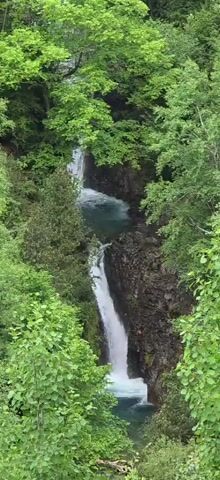 The video captures a serene natural landscape featuring a series of waterfalls cascading through a deep, verdant gorge. Dense, lush green trees and foliage cover the steep, rocky slopes on both sides, creating a vibrant, enclosed environment. The water, appearing clear with a distinct blue-green hue in the pools, tumbles over dark, rugged rocks, creating white foam and spray at each drop.

The scene depicts water flowing from an upper waterfall into a tranquil pool, then continuing its descent over another, larger waterfall into a lower basin. The light is bright but diffused, suggesting an overcast day or sunlight filtered through the dense tree canopy, illuminating the vibrant greens of the vegetation and the clear water. The overall impression is one of untouched natural beauty, typical of mountainous regions like Sahún, Spain, where this footage was captured. There are no people, objects, or visible text present in the video, emphasizing the pristine wilderness.