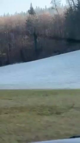 The video shows a drive through a park area. A grassy field is visible on the left with patches of snow. A line of trees is in the background, and as the camera moves forward, a paved road appears, leading into the wooded area.