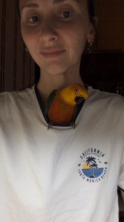 Colorful parrot interacts with residents in Khimki home