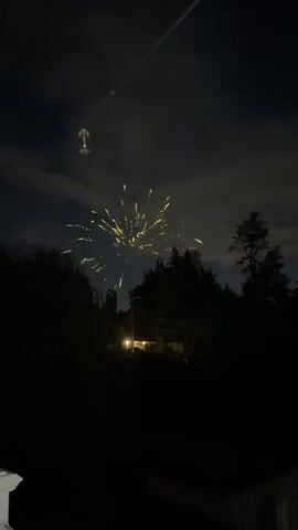 This is a video taken at night, with a dark sky with some clouds. There are trees in the foreground and midground, silhouetted against the sky. In the background, there is a house with lights on. The video captures a fireworks display. Initially, there are a few scattered lights in the sky. Then, a large, bright firework explodes in the center of the frame, creating a burst of golden sparks. This is followed by more fireworks, creating a dense display of shimmering lights across the sky, resembling a cluster of glittering flowers. Finally, the fireworks fade, leaving a scattering of smaller, colorful lights that gradually disappear.