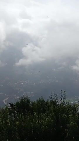 The video shows a hazy view of a town nestled in a valley, seen from a high vantage point. The sky is overcast with thick, white clouds, and mist or fog partially obscures the town below. Several dark, bird-like shapes are visible flying in the sky, some appearing as silhouettes against the clouds. In the foreground, the tops of dense green trees or bushes are visible, framing the lower part of the scene. The overall atmosphere is one of a cloudy, possibly rainy, day in a mountainous or hilly region. There are no people or specific interactions captured, only the natural environment and distant human settlement.
