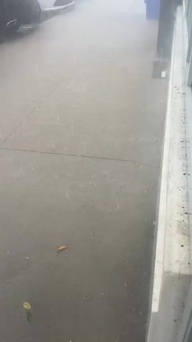 The video shows a view of a street with parked cars and a sidewalk. It is raining, and the pavement is wet. Raindrops are visible falling on the ground. There are a few fallen leaves on the sidewalk. A blue trash can is visible in the background.