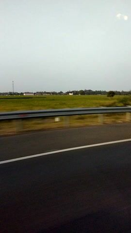A vertical video shows a roadside view from a moving vehicle. The right side of the frame displays a dark asphalt road with a white line. To the left of the road, a metal guardrail separates it from a grassy median and a field. Beyond the field, a line of trees and buildings is visible against a pale, overcast sky. The motion blur indicates the video was captured while in transit.