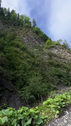 A video shows a person driving a vehicle on a dirt road next to a steep, rocky mountainside covered in dense green foliage and trees. A small stream runs alongside the road. The sky is partly cloudy. The camera is mounted inside the vehicle, looking out the side window and slightly forward.