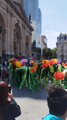 Flower-costumed dancers perform synchronized street show in Santiago plaza