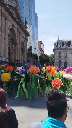 Flower-costumed dancers perform synchronized street show in Santiago plaza