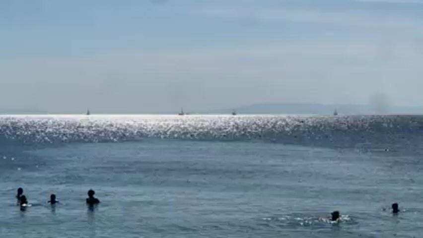 The video shows a wide shot of people in the ocean with boats in the distance. The water is blue and sparkling, reflecting sunlight. There are several people standing or swimming in the water near the shore, visible as dark silhouettes.  In the distance, there are a few sailboats on the horizon, which appears to be slightly hazy.  The sky above is light blue with a few clouds visible.
