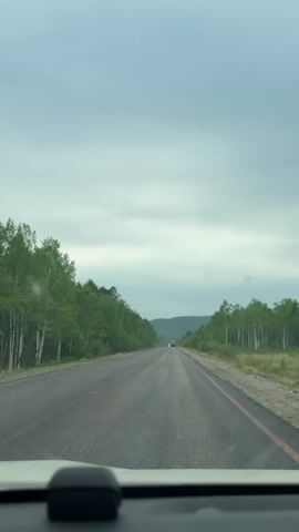 The camera films from inside a car driving on a straight two-lane highway. The sky is overcast and gray. Trees line both sides of the road, including birch trees on the right. The road surface appears wet. In the distance, a small hill is visible. A large white semi-truck with blue stripes passes on the left side of the car.