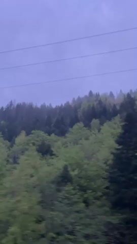 The video shows a hill covered with green trees against a cloudy, overcast sky.  There are power lines visible at the top of the frame. The camera appears to be moving, possibly from a passing vehicle. The top of the hill has darker, more densely packed trees.