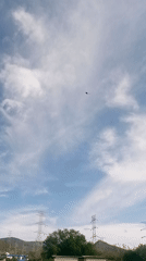 Dark kite with tails spotted flying in clear skies