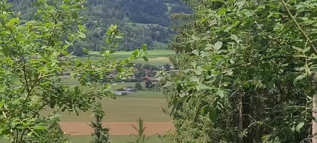 The video shows a view of a village and agricultural fields from a forested area. The foreground is dominated by lush green foliage, with branches and leaves from trees framing the view. In the mid-ground, a small village with houses and some roads is visible, nestled within cultivated fields. The fields appear to be agricultural, with some showing different shades of green and brown, suggesting crops or harvested areas. In the background, rolling hills covered in dense green forests rise towards a hazy sky. The scene is serene and appears to be a rural landscape during daylight. There are no people or animals visible in the video.