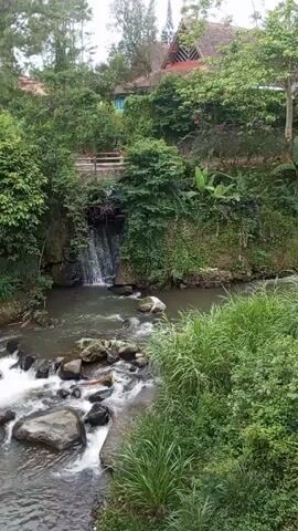 The video shows a lush green landscape with a flowing river running through it. The river is rocky, with some small waterfalls and rapids.  Buildings can be seen in the background, nestled among the trees. The vegetation is dense and includes trees, bushes, and tall grasses.