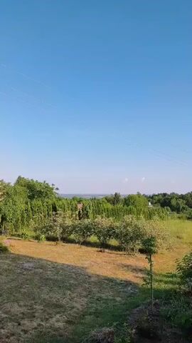 This is a vertical video of a rural landscape under a clear blue sky. The scene depicts a backyard area in Zadebri, Ukraine, with a mown grassy lawn in the foreground. Several trees are scattered throughout the yard, with some appearing to be fruit trees with sparse foliage and others being fuller, leafy trees. In the mid-ground, a dense line of tall, dark green trees forms a natural boundary. Beyond this, the landscape opens up to rolling hills covered in greenery, with hints of distant buildings. Two thin, dark lines stretch horizontally across the top of the frame, possibly power lines.

The lighting suggests it is late afternoon or early evening, with long shadows cast across the grass from the trees. The weather appears to be fair and warm, indicated by the clear sky and vibrant green vegetation. There are no people or animals visible in the frame. The overall mood is peaceful and serene, evoking a sense of rural tranquility. There is no visible text in the video.