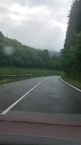 A car is driving on a wet, winding road through a forest. The road is asphalt with white lines.  The trees are green and dense, and the weather is overcast with low-hanging clouds. Fog is present amongst the trees.  The view is from inside the car, looking through the windshield. A metal guardrail can be seen on the left side of the road. Raindrops are visible on the windshield.
