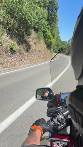 A first-person perspective video shows a person riding a motorcycle on a paved road through a wooded, hilly area on a sunny day. The rider's gloved hands are visible on the handlebars, and a tattoo is visible on their left forearm. The motorcycle has a windshield and mirrors, and a device is attached to the windshield. The road has a white line marking the lane. The surrounding environment consists of green trees and bushes on a sloped embankment.