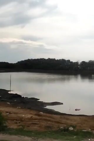 The video pans across a body of water with trees on the opposite bank. A lighthouse is visible in the distance. The camera then moves to show a dirt road with a paved section and utility poles. Buildings and more trees are visible along the road.