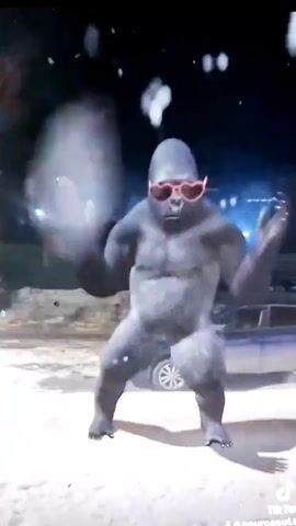 A CGI gorilla wearing pink heart-shaped sunglasses dances in a dark, outdoor environment. Snow or confetti falls around the gorilla. The gorilla is in a low squatting position, with its arms extended. It is facing the camera and appears to be moving to music. The background is out of focus, but appears to be a street or urban area at night.