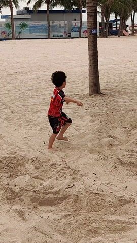 A young child is seen running on a sandy beach. The child is wearing a red shirt with a design on the back and black shorts. The beach appears to be a public area with palm trees and buildings in the background. The child stops running and stands with their arms out. A voice can be heard in the background saying "Dad."