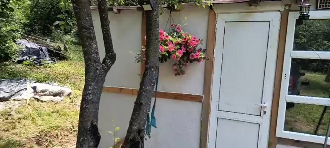 The media file shows a small, weathered wooden deck attached to a simple white structure. Two trees with dark bark stand to the left, partially obscuring the structure. A hanging basket overflowing with pink flowers adds a touch of color. The structure has a white door and a window, through which reflections of people and possibly objects are visible. A mop leans against the wall.

The deck itself is furnished with two blue plastic chairs, two small white tables, and a blue inflatable pool filled with red flowers. Various gardening tools, including a green watering can and what appears to be a string trimmer, are placed on the deck. A Bulgarian flag is visible in the background, attached to a pole. The setting is outdoors, surrounded by dense trees, suggesting a rural or semi-rural location. The overall impression is one of a rustic, perhaps slightly neglected, outdoor living space. The natural light suggests it is daytime, likely late morning or afternoon, under clear or partly cloudy skies. No specific activity is taking place, the scene appears to be set for leisure or relaxation. There is no visible text within the media file.