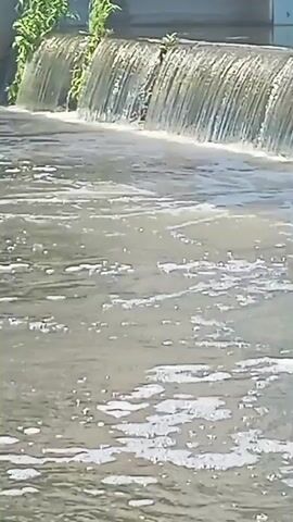 The video shows a close-up, low-angle shot of a small man-made waterfall or weir on a river or stream. The water cascades over a concrete structure covered in green algae and some sparse vegetation. The water in the foreground appears murky and has a significant amount of foam and bubbles on its surface, suggesting turbulence or potential pollution. The background is blurred but shows a man-made structure, possibly a bridge or retaining wall, above the weir, with green foliage visible on top. The lighting indicates it is daytime, likely sunny, casting shadows and creating highlights on the water. The video is static with no apparent movement of the camera.