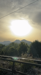 Train passenger films sunny mountain scenery, bird on powerlines