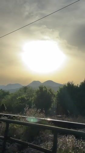 Train passenger films sunny mountain scenery, bird on powerlines